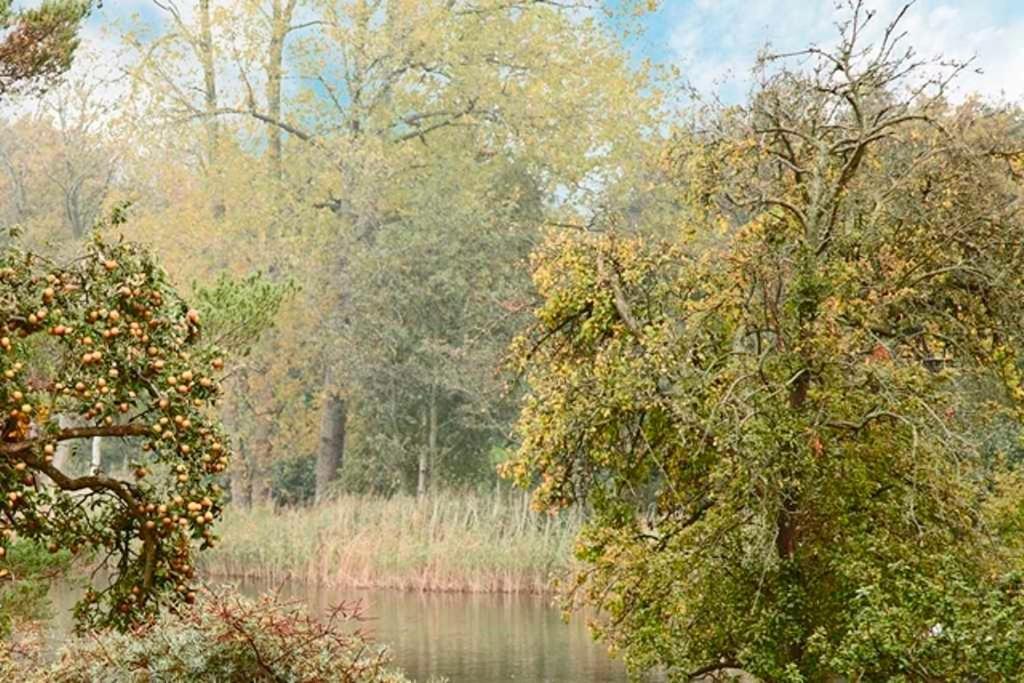 Duenen-Residenz B 05 Leilighet Heringsdorf  Eksteriør bilde